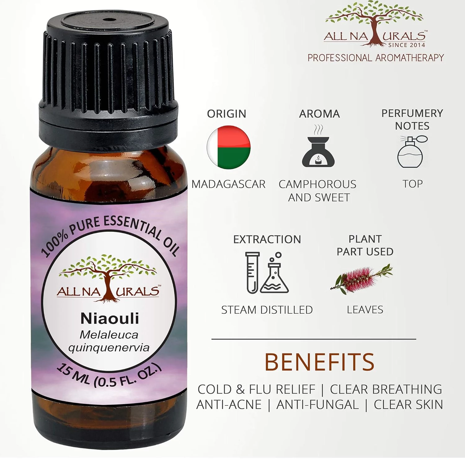 All Naturals Niaouli Essential Oil - Image 3