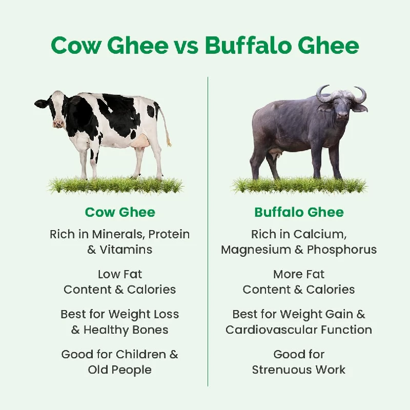 Auric Lab Certified Cow Ghee - Image 4
