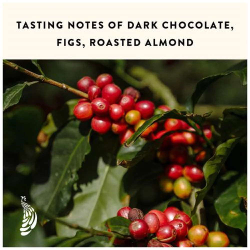 Blue Tokai Coffee Roasters - Medium-Dark Attikan Estate - Image 8