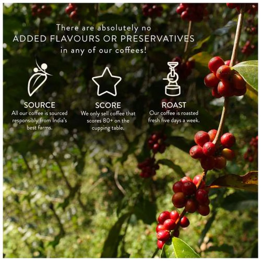 Blue Tokai Vienna Roast Inverted Aeropress Coffee - 100% Arabica - Image 8