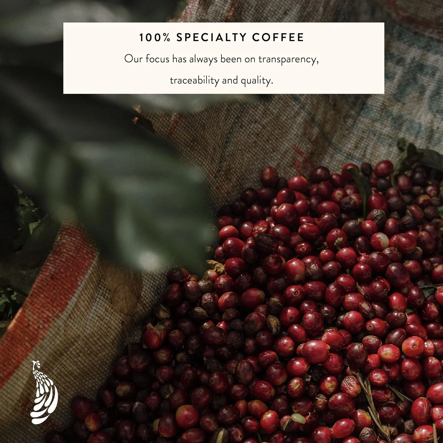 Blue Tokai French Roast Coffee Roasters - 100% Arabica - Image 6