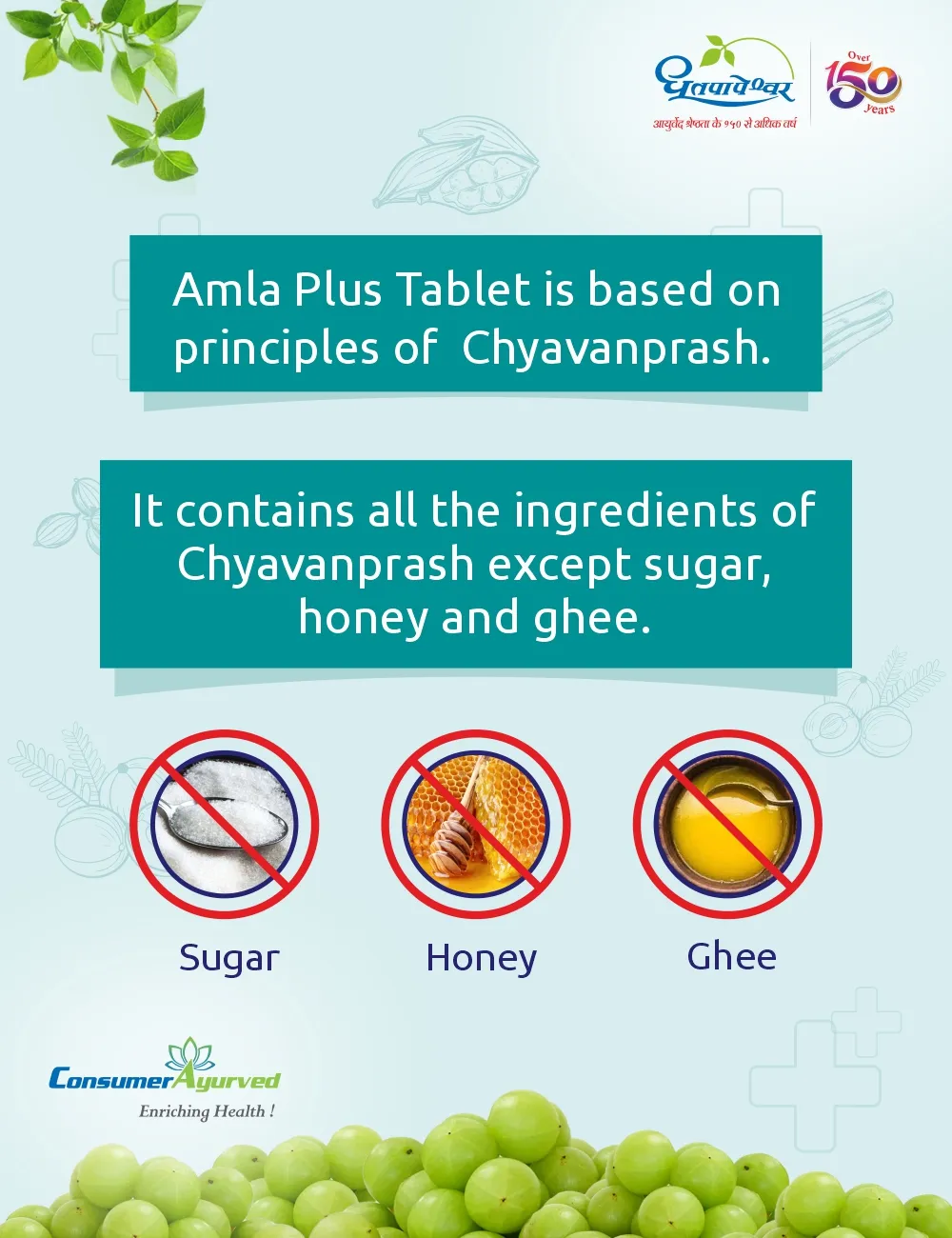 Dhootapapeshwar Amla Plus Tablets - Image 2