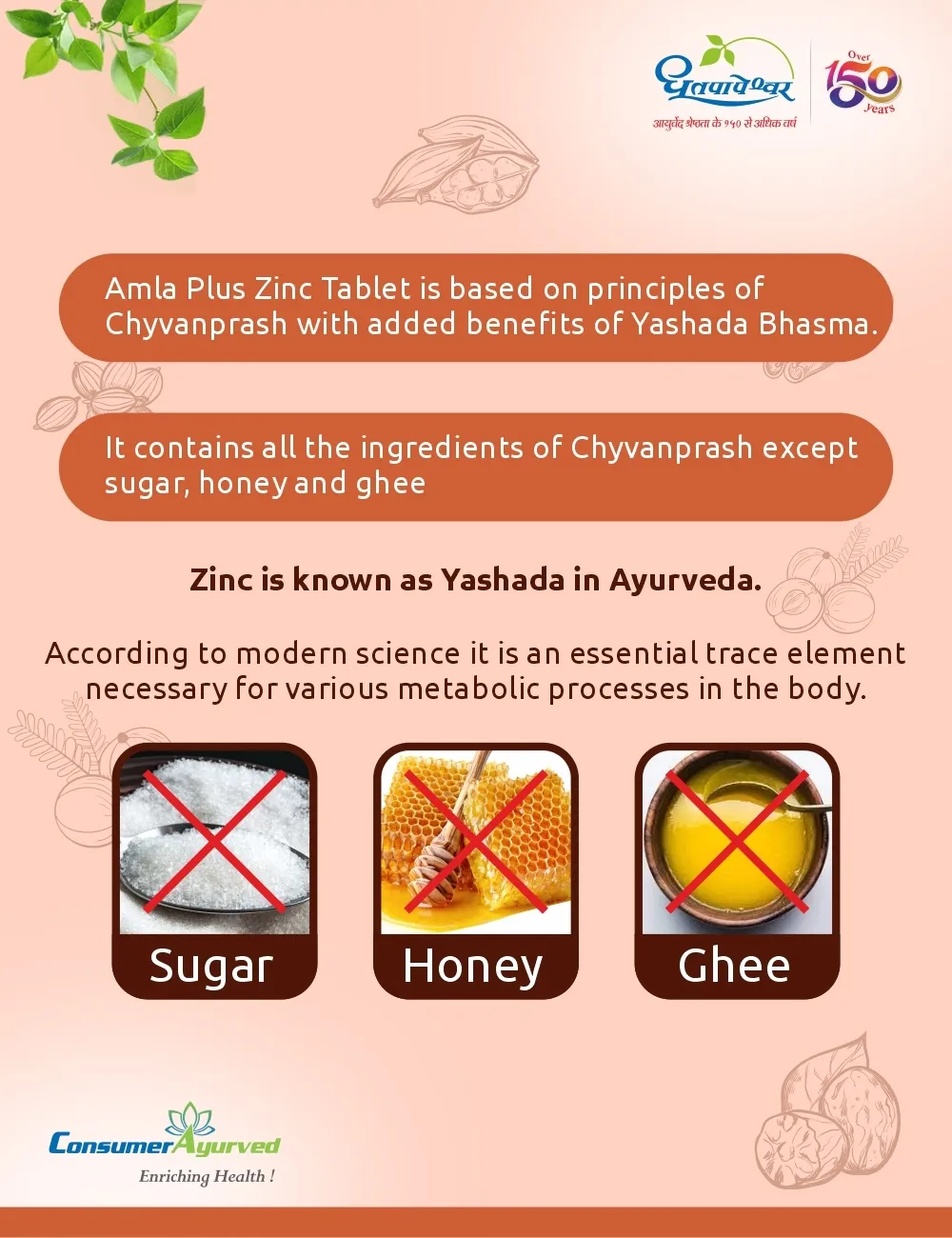 Dhootapapeshwar Amla Plus with Zinc Tablets - Image 2