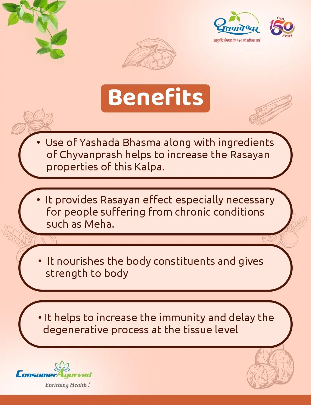 Dhootapapeshwar Amla Plus with Zinc Tablets - Image 4