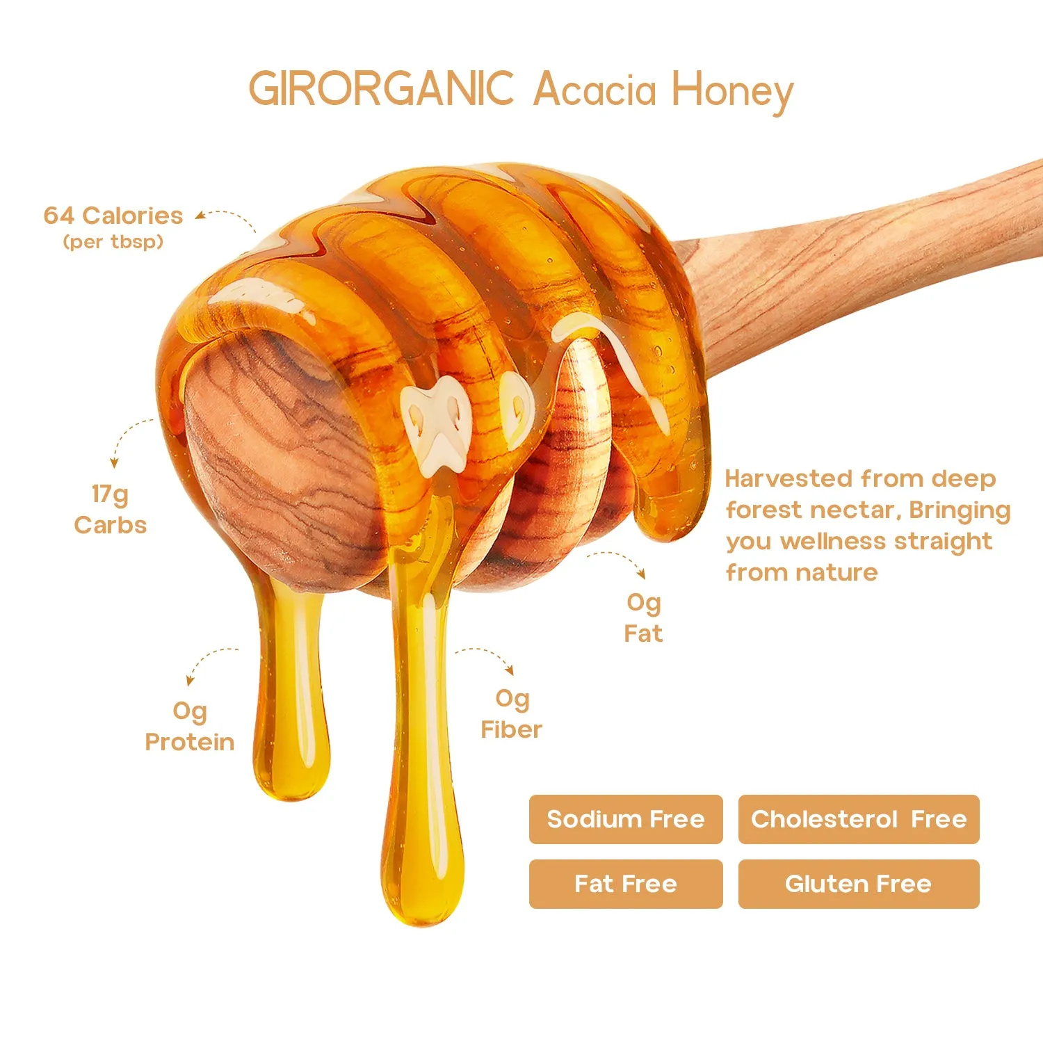 Gir Organic Acacia Honey - Image 3