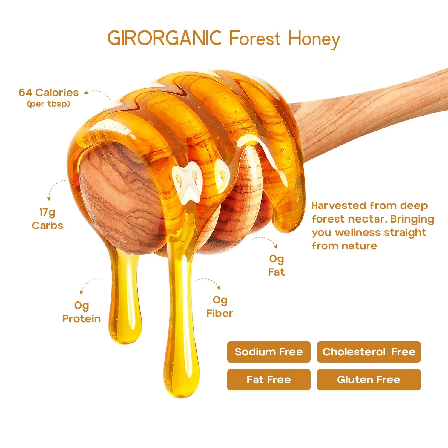 Gir Organic Forest Honey - Image 8