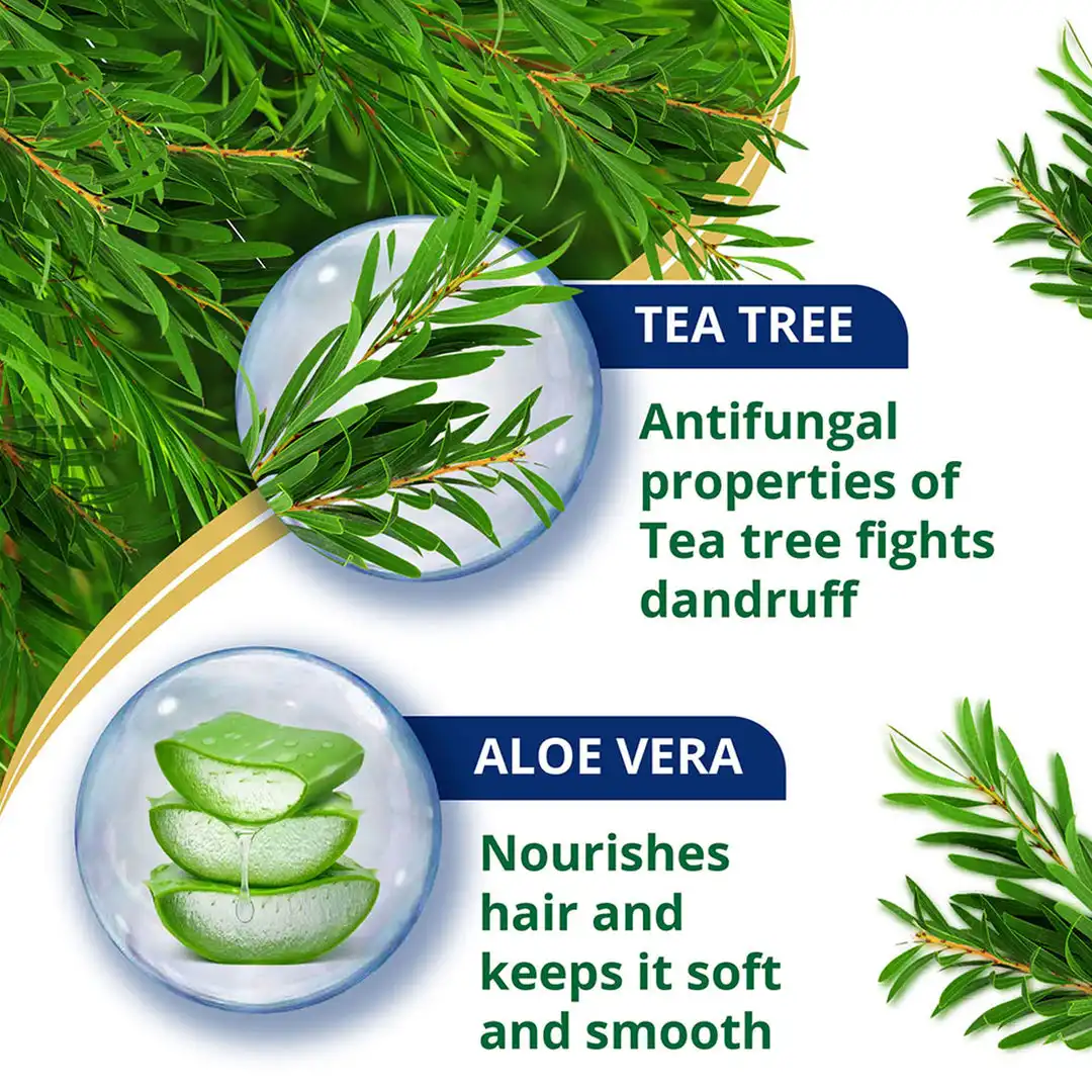 Himalaya Anti-Dandruff Tea Tree Conditioner - Image 3
