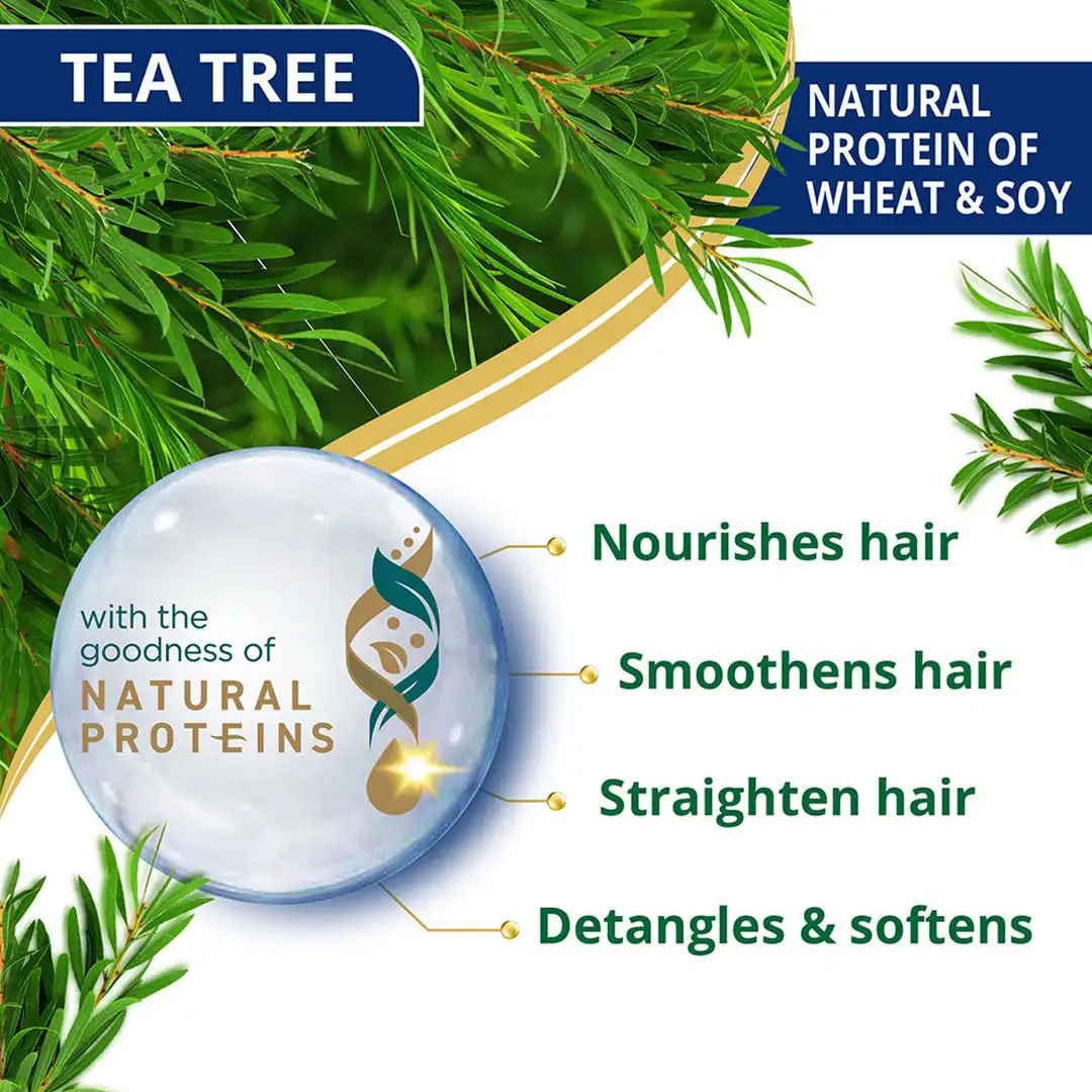 Himalaya Anti-Dandruff Tea Tree Conditioner - Image 4
