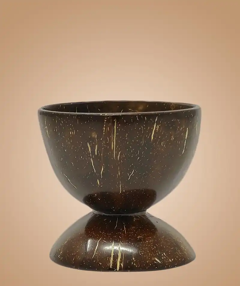 Isha Life Coconut Shell Bowl