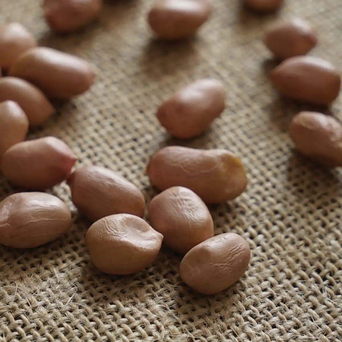 Isha Life Groundnut - Image 6