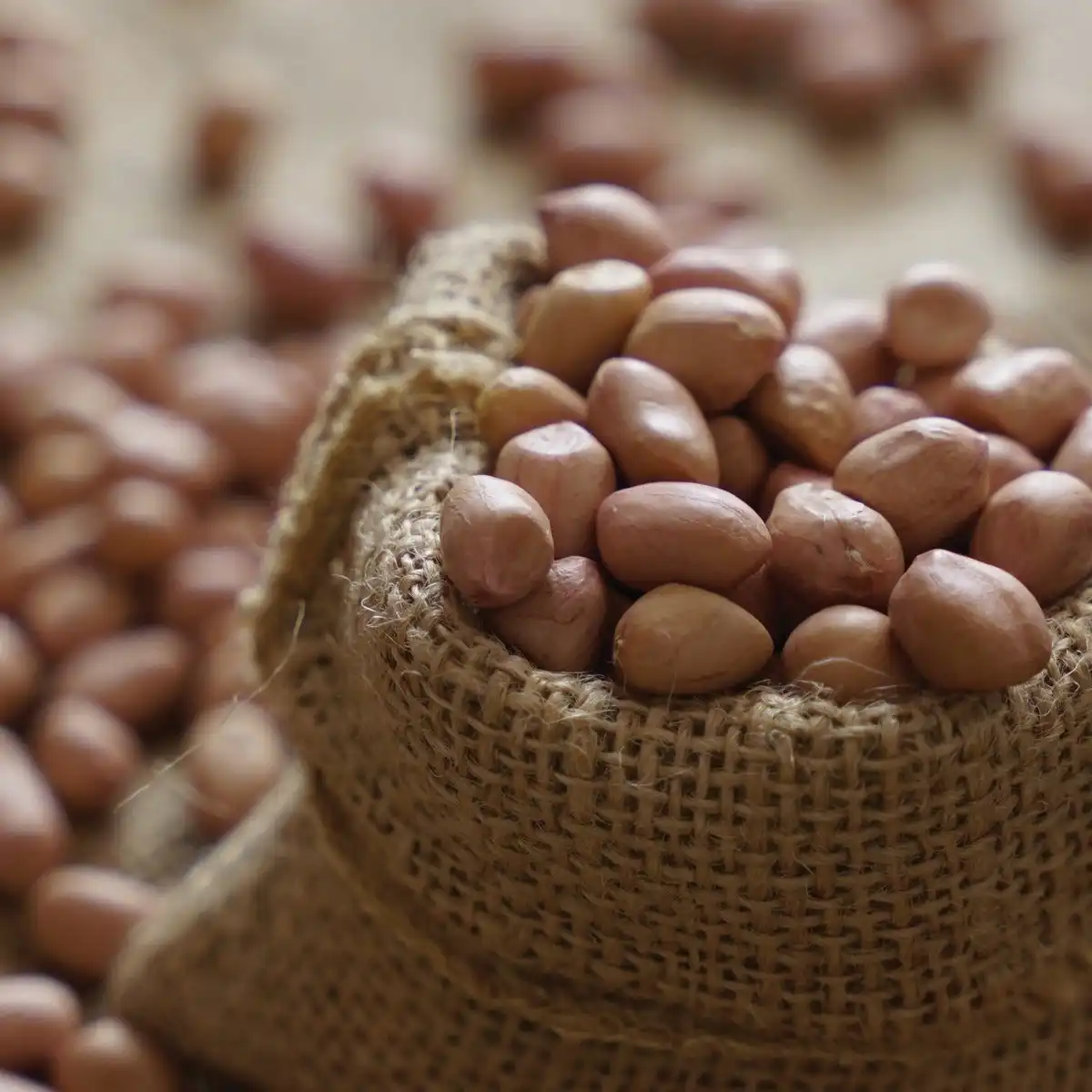 Isha Life Groundnut - Image 8
