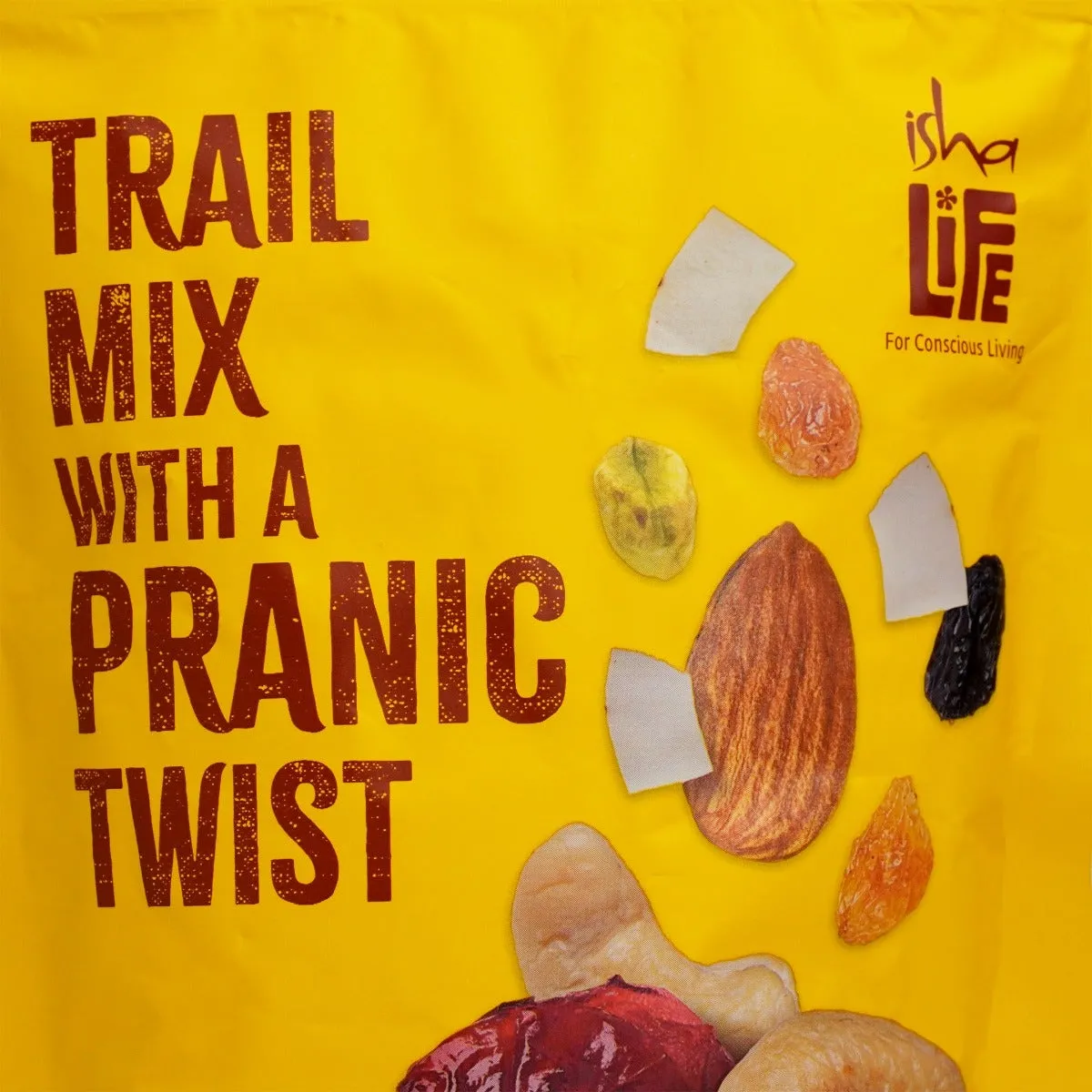 Isha Life Trail Mix With A Pranic Twist - Image 3