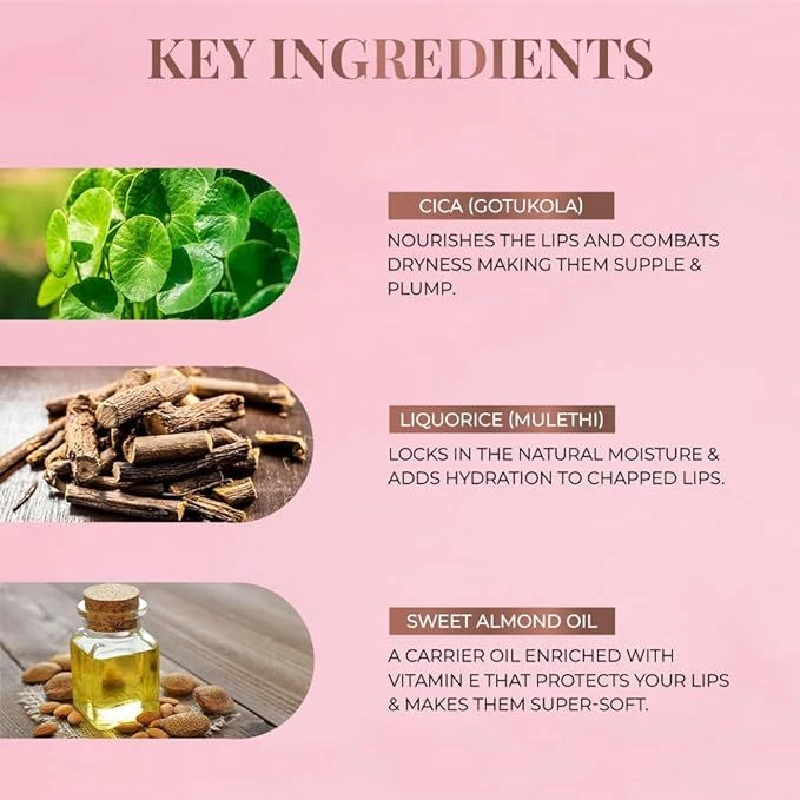 Just Herbs Ayurvedic Liquid Matte Lipstick Kit Set - Image 6