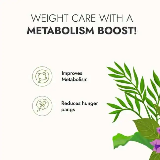 Kapiva Aloe Garcinia Juice (Metabolism Booster) - Image 3