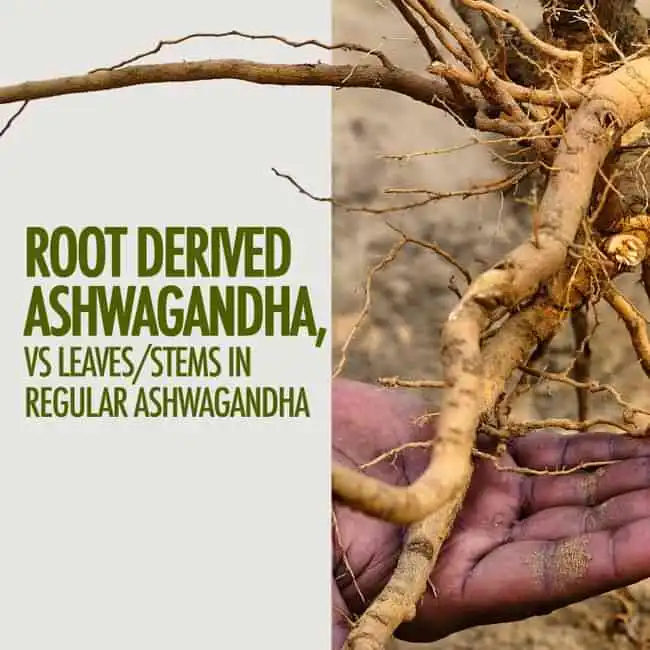 Kapiva Ashwagandha Gold Capsules - Image 3