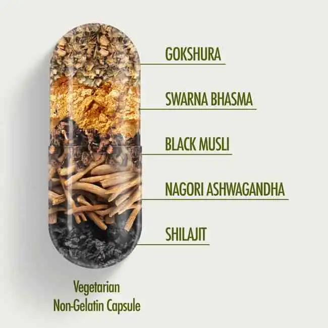 Kapiva Ashwagandha Gold Capsules - Image 6