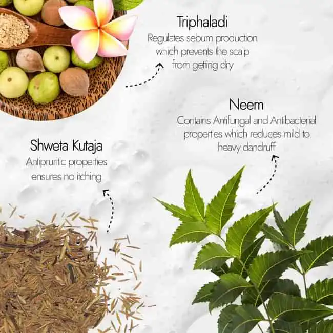 Kapiva Neem Dandruff Shampoo - Image 4