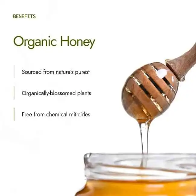 Kapiva Organic Honey - Image 2