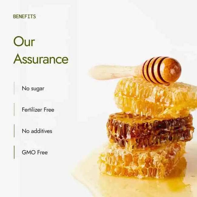 Kapiva Organic Honey - Image 5