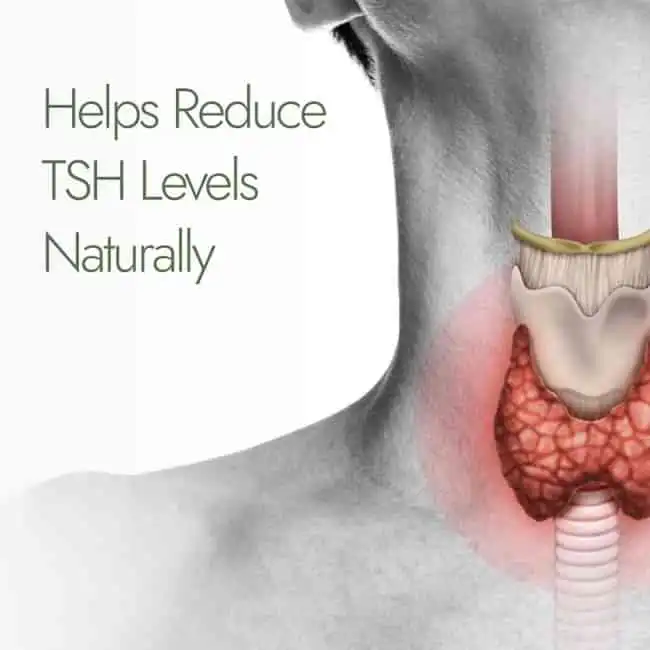 Kapiva Thyro Care Capsules - Image 4