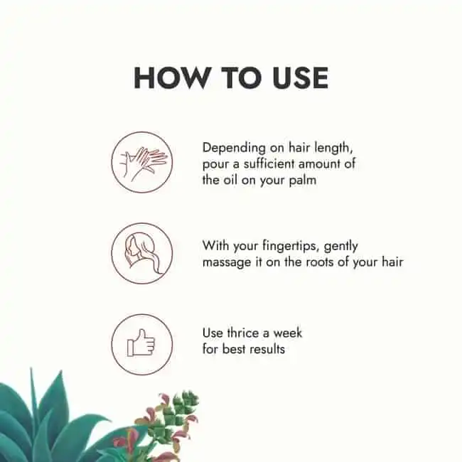 Kapiva Tulsi Anti Hairfall Oil - Image 7