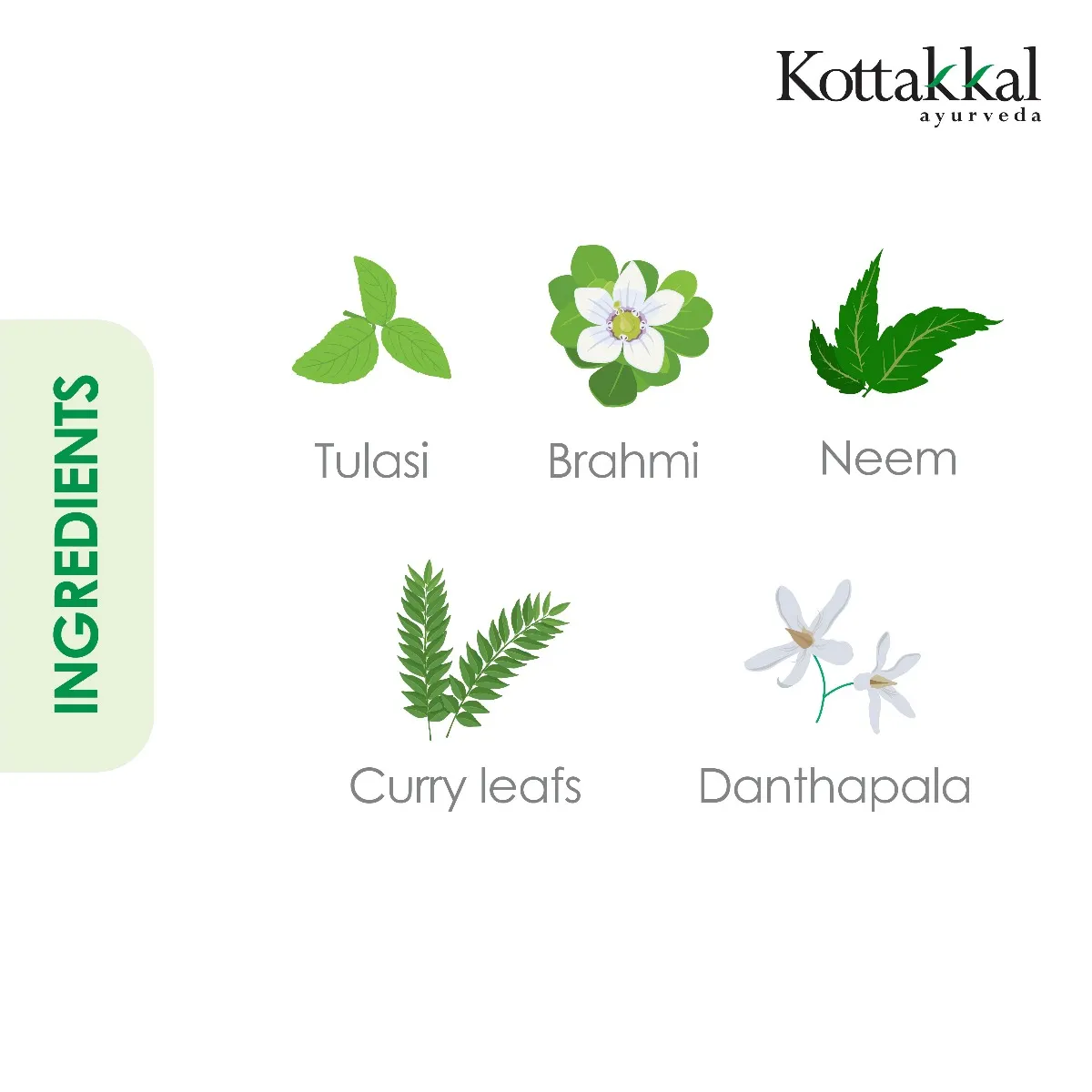 Kottakkal Ayurveda Kottakkal Ayurveda Anti Dandruff Shampoo - Image 5