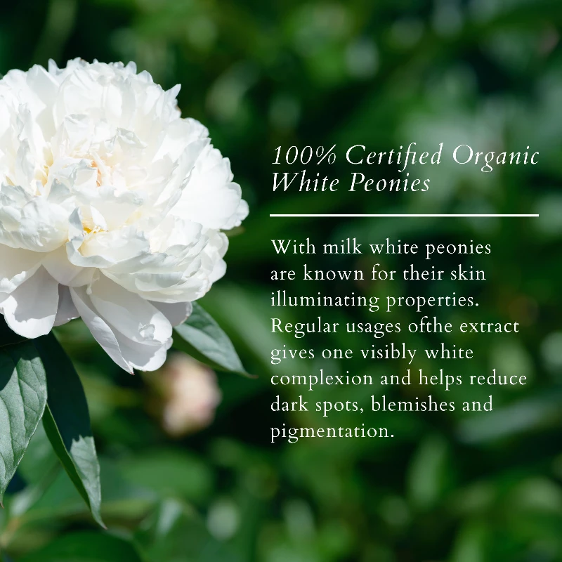 Lotus Organics Precious Brightening Face Wash - Image 5