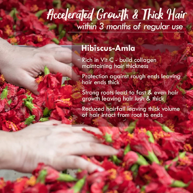 Nat Habit Hibiscus Amla Summer Hair Oil For Men & Women - Image 2