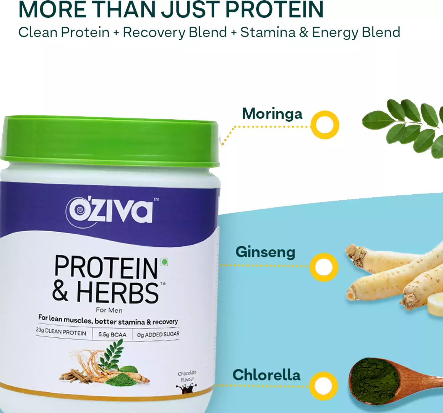 Oziva Protein & Herbs, Men, 23g Whey Protein - Chocolate - Image 6