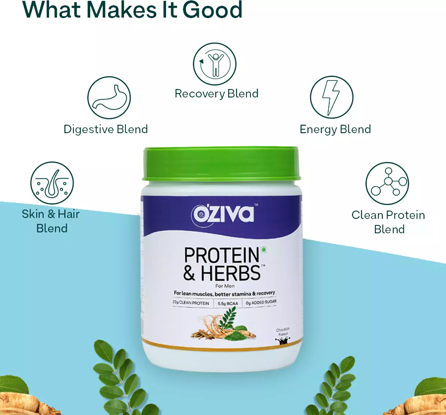 Oziva Protein & Herbs, Men, 23g Whey Protein - Chocolate - Image 7