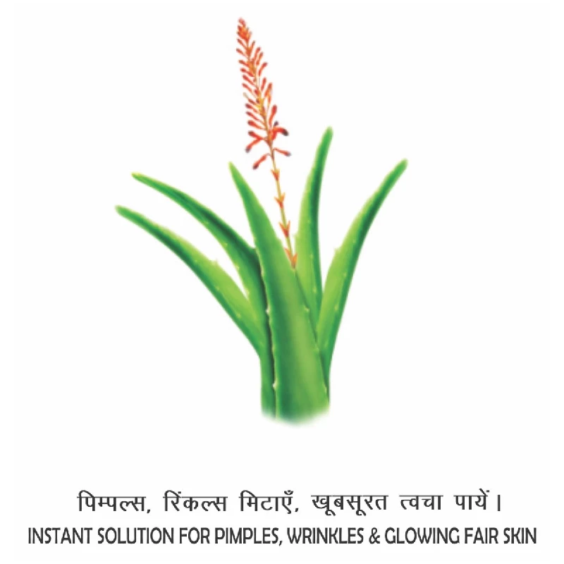 Patanjali Saundarya Aloe Vera Gel Kesar Chandan - Image 2