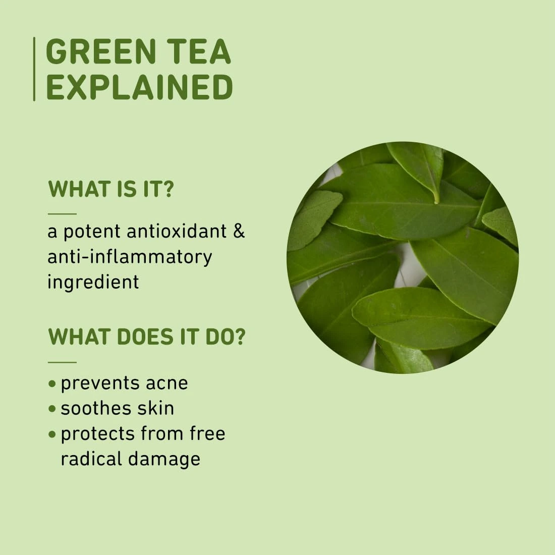 Plum Green Tea Alcohol-Free Face Toner - Image 5