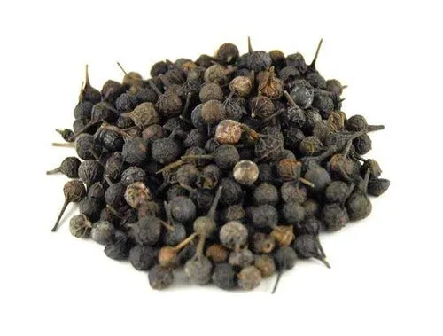 Premium Fresh Kabab Chini (Piper Cubeba Linn)