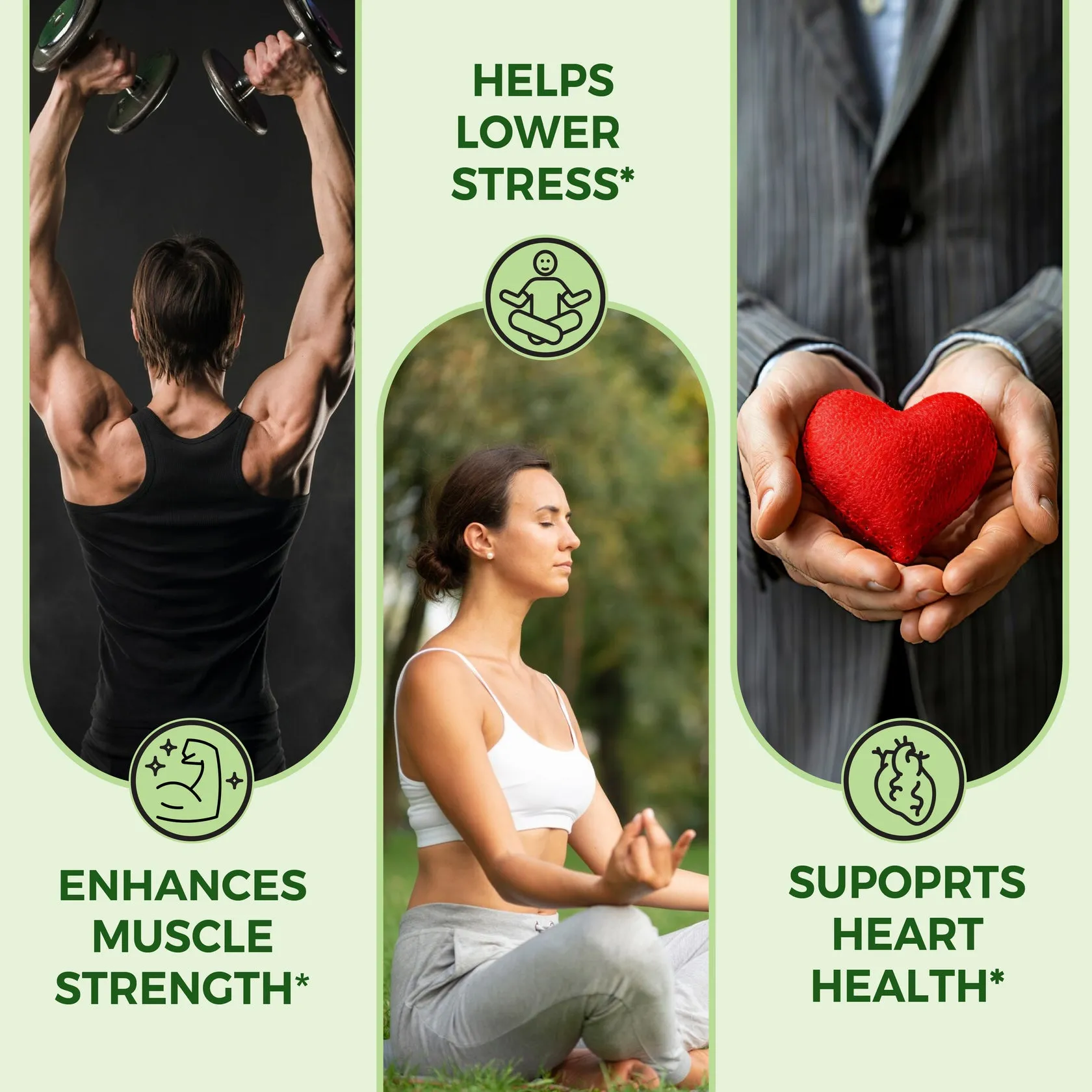 Pure Nutrition Organic Ashwagandha - Image 3