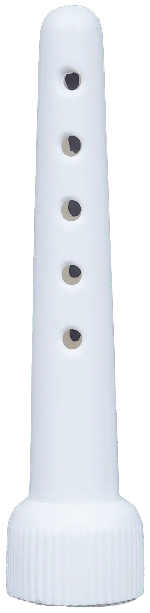 SBL Homeopathy FP Ointment - Image 7