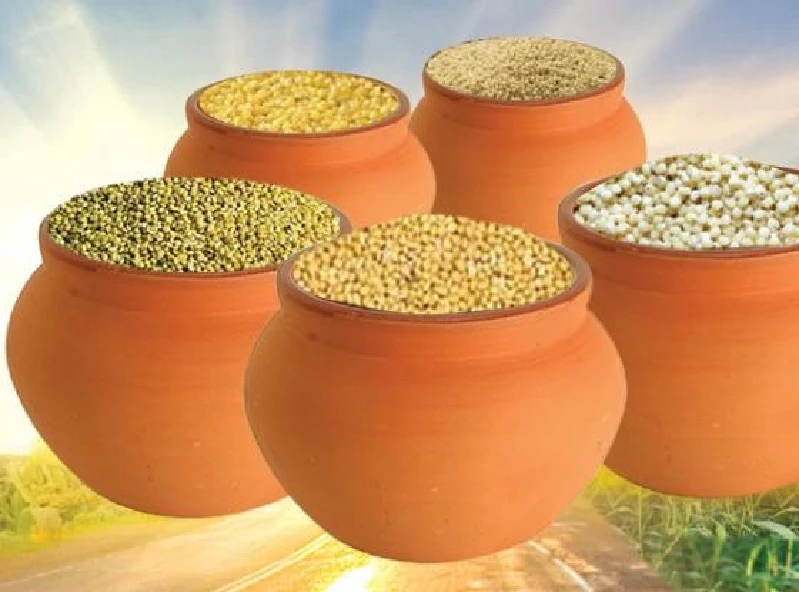 Siridhanyalu Millets - Hamper Millets - Image 3