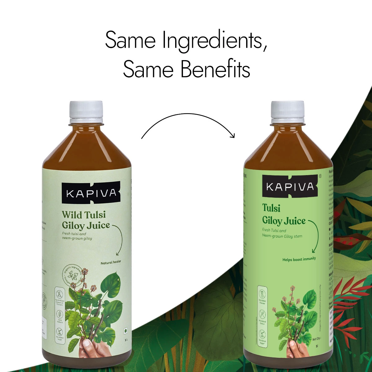 Kapiva Ayurveda Wild Tulsi Giloy Juice (Natural Juice for Building Immunity) - Image 2