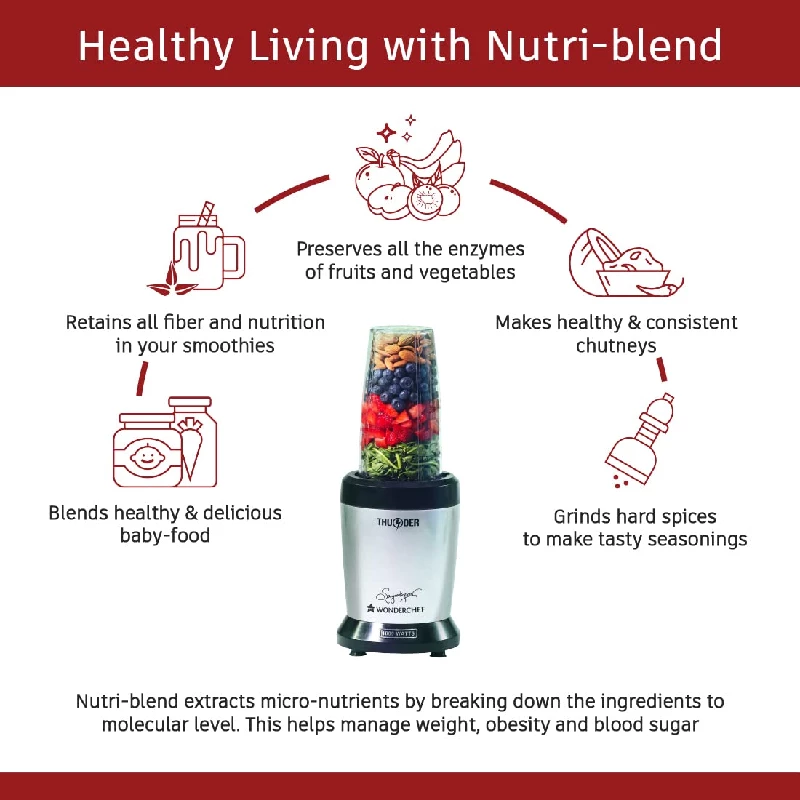 Wonderchef 1000 Watts Nutri-Blend Thunder Blender-Grey - Image 2