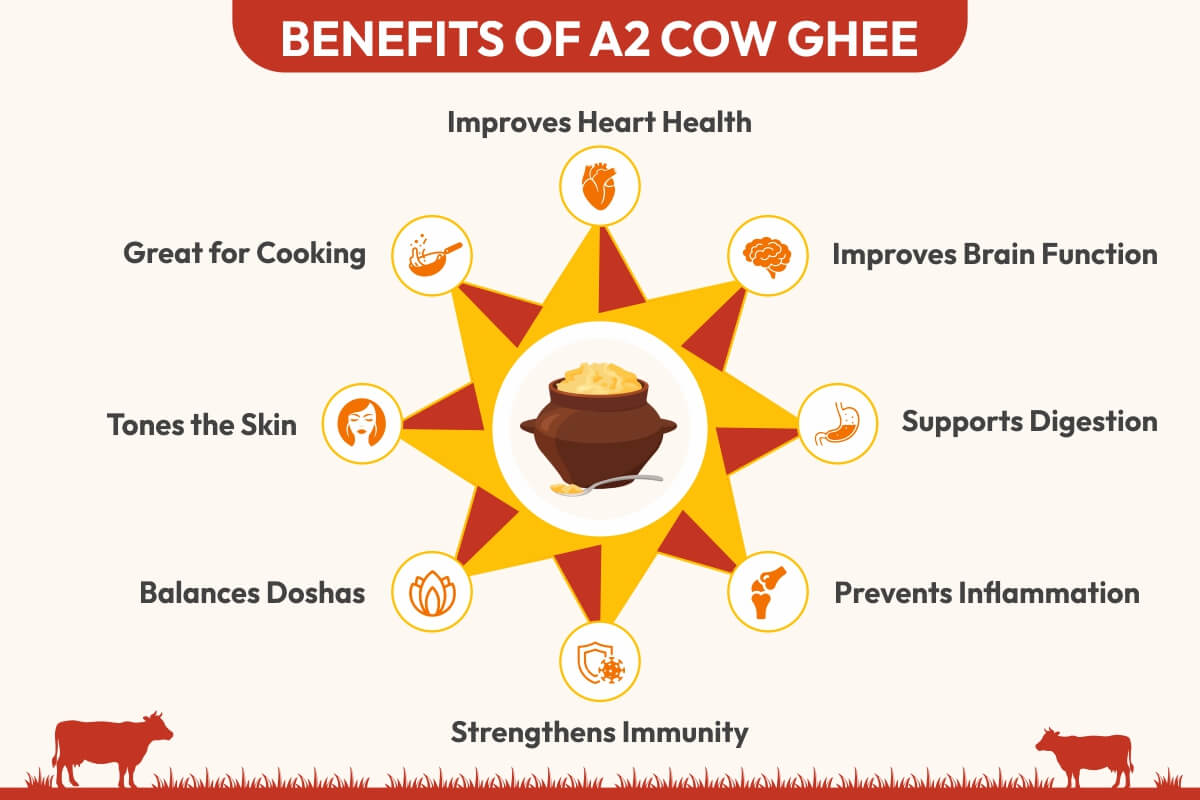 Benefits of a2 cow ghee