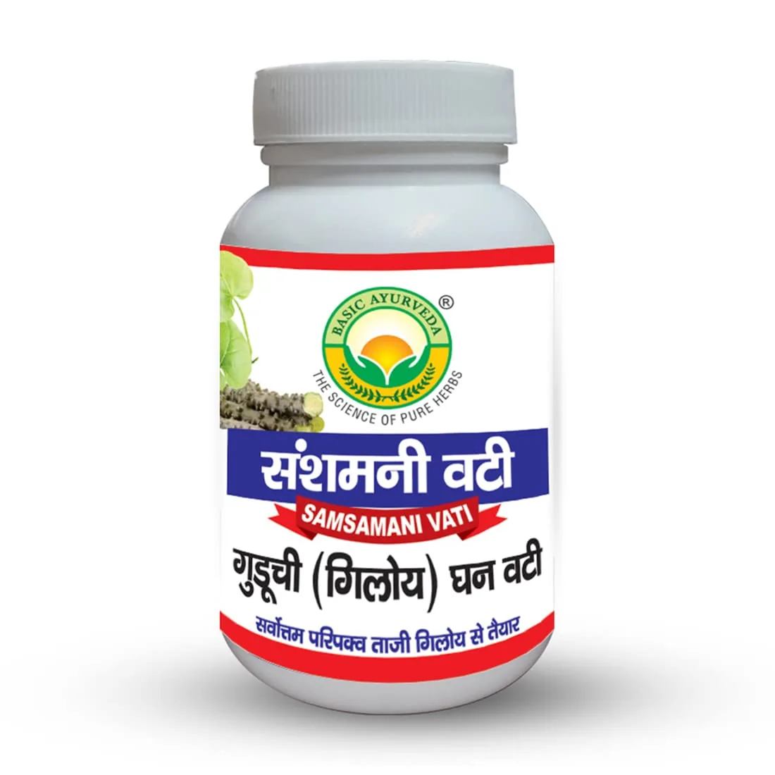 Basic Ayurveda Guduchi Giloy Ghan Vati Samsamani Vati