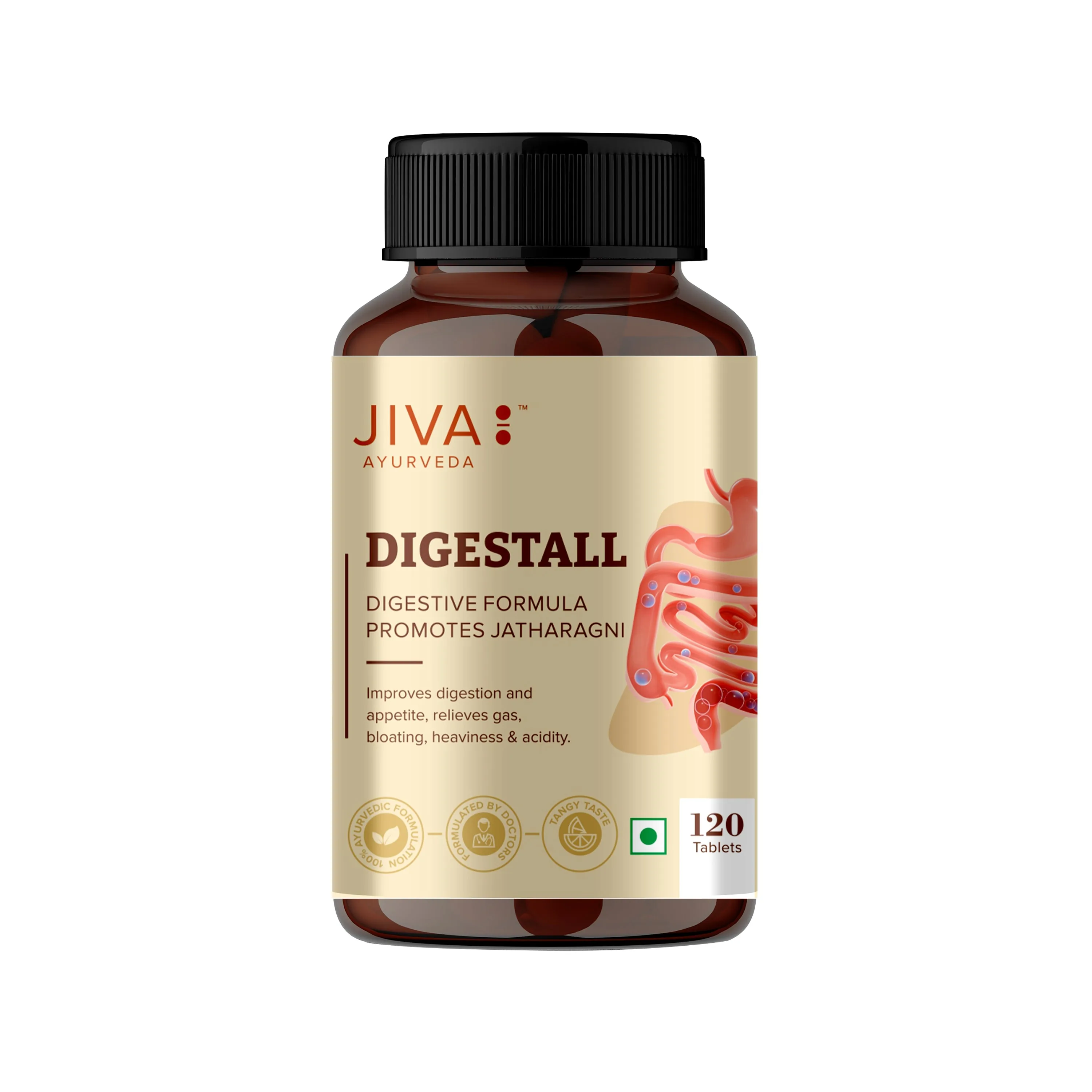 Jiva Ayurveda Digestall Tablets